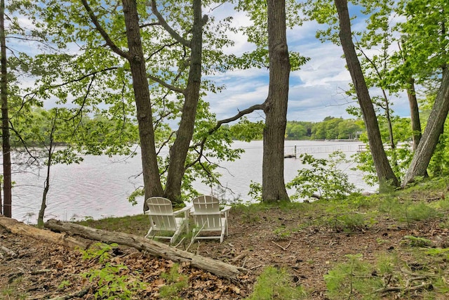 116 Piscataqua Rd Unit C, Durham, NH 03824 - water view