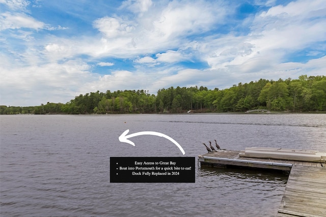 116 Piscataqua Rd Unit C, Durham, NH 03824 - dock featuring a water view and a wooded view