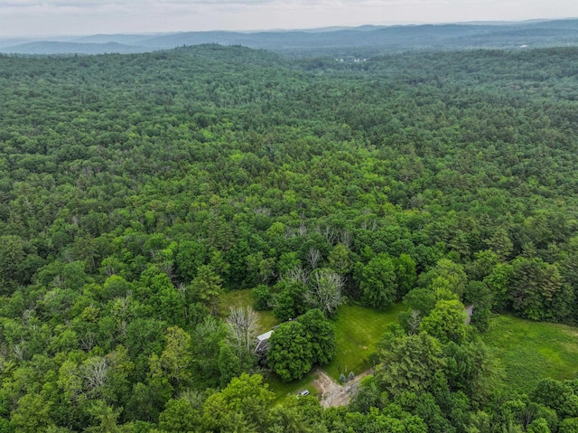 1448 Bound Tree Rd, Hopkinton, NH 03229 - bird's eye view of a forest