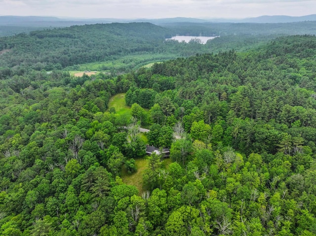 1448 Bound Tree Rd, Hopkinton, NH 03229 - aerial view of property's location featuring a forest