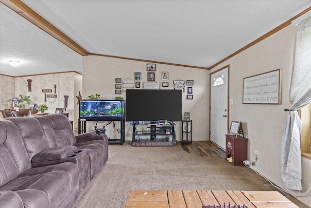 908 Gilbert Rd, Williamstown, VT 05679 - living area with crown molding, a textured ceiling, wood finished floors, and carpet floors