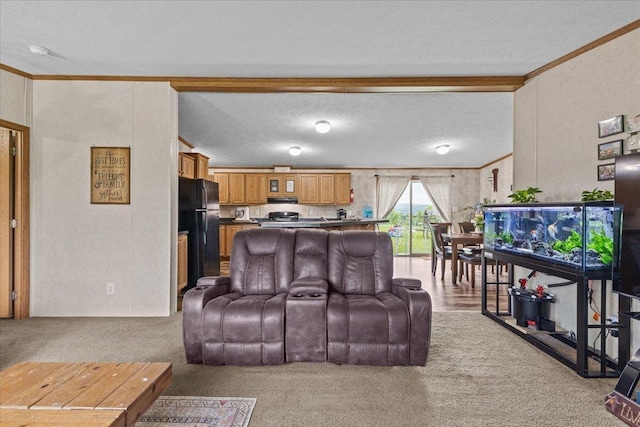 908 Gilbert Rd, Williamstown, VT 05679 - carpeted living room featuring crown molding and a textured ceiling