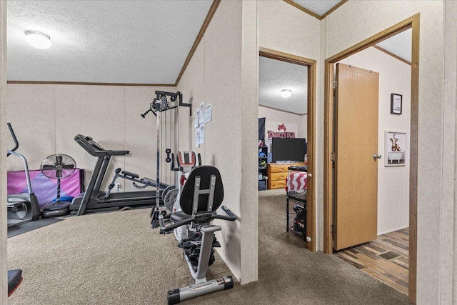 908 Gilbert Rd, Williamstown, VT 05679 - workout room with a textured ceiling, crown molding, carpet flooring, and vaulted ceiling
