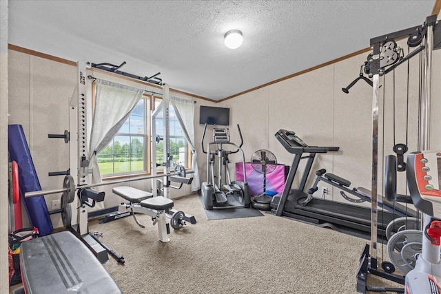 908 Gilbert Rd, Williamstown, VT 05679 - workout area featuring crown molding, carpet, and a textured ceiling