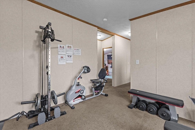 908 Gilbert Rd, Williamstown, VT 05679 - workout room with crown molding