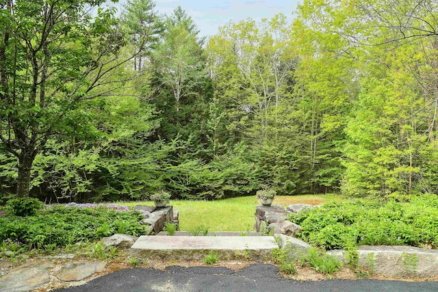 2 Parker Farm Ln, Amherst, NH 03031 - view of green lawn with a forest view