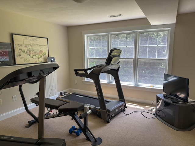 2 Parker Farm Ln, Amherst, NH 03031 - exercise area featuring healthy amount of natural light and carpet flooring