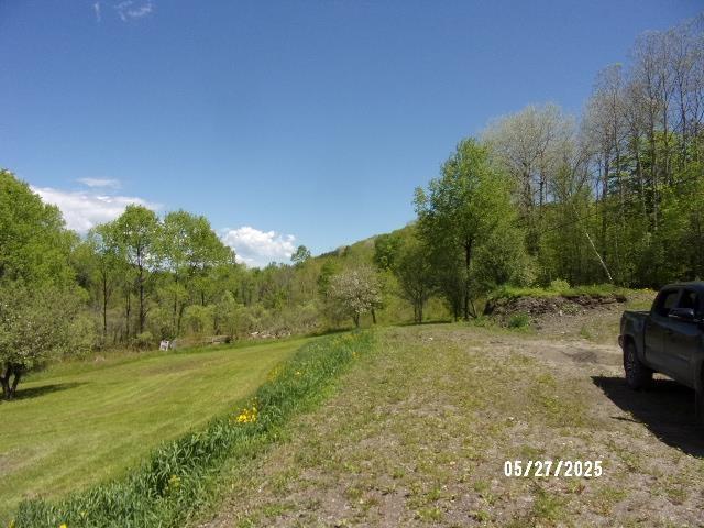 1539 Berlin Pond Rd, Northfield, VT 05663 - view of yard featuring a forest view