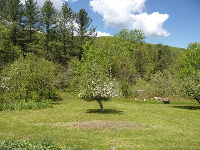 1539 Berlin Pond Rd, Northfield, VT 05663 - view of grassy yard featuring a forest view