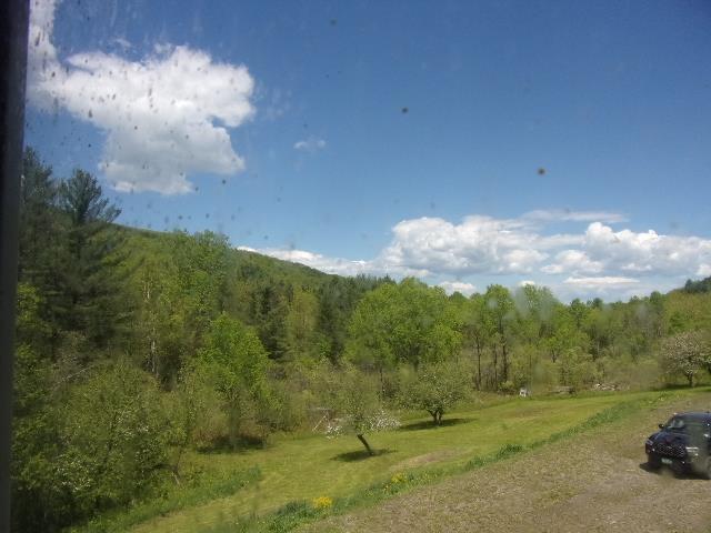 1539 Berlin Pond Rd, Northfield, VT 05663 - view of wooded area
