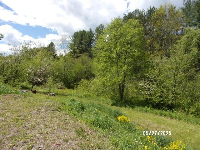 1539 Berlin Pond Rd, Northfield, VT 05663 - view of tree filled area