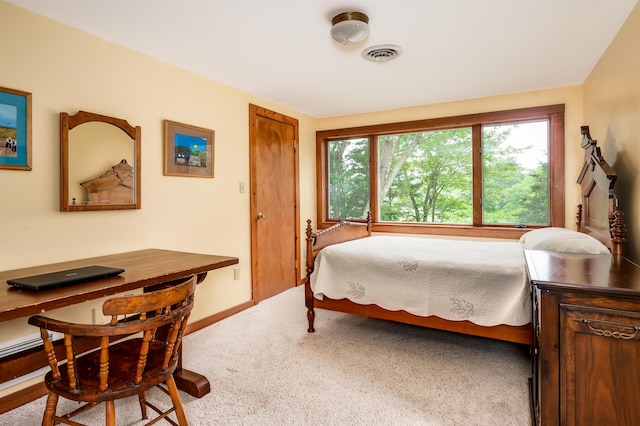 30 Old Piscataqua Rd, Durham, NH 03824 - bedroom with carpet floors and baseboards