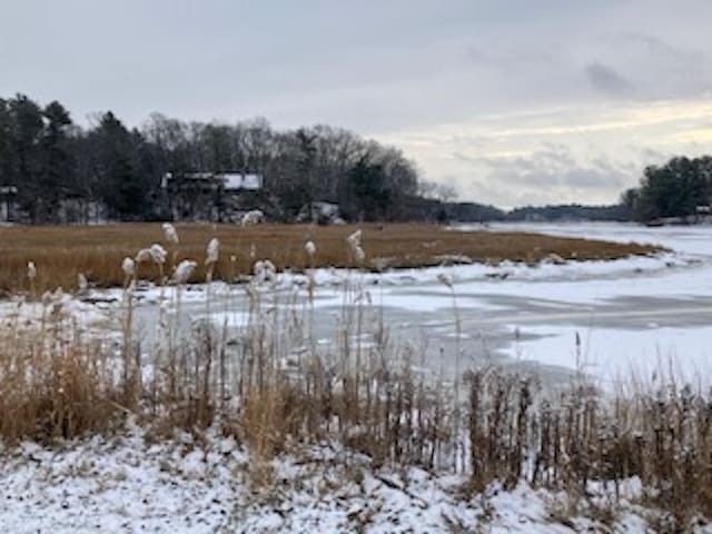 30 Old Piscataqua Rd, Durham, NH 03824 - view of yard layered in snow