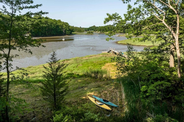 30 Old Piscataqua Rd, Durham, NH 03824 - water view featuring a heavily wooded area