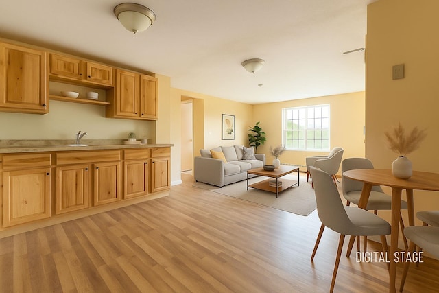 30 Beech St Unit 4B, Bristol, NH 03222 - living area featuring light wood-type flooring and a baseboard heating unit