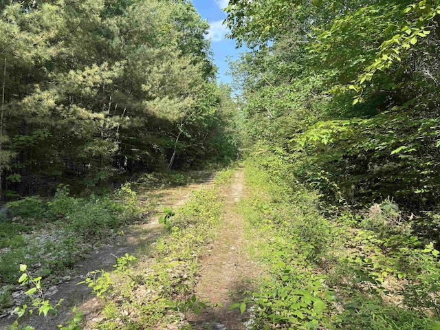 00 Davis Hill Rd, Conway, NH 03813