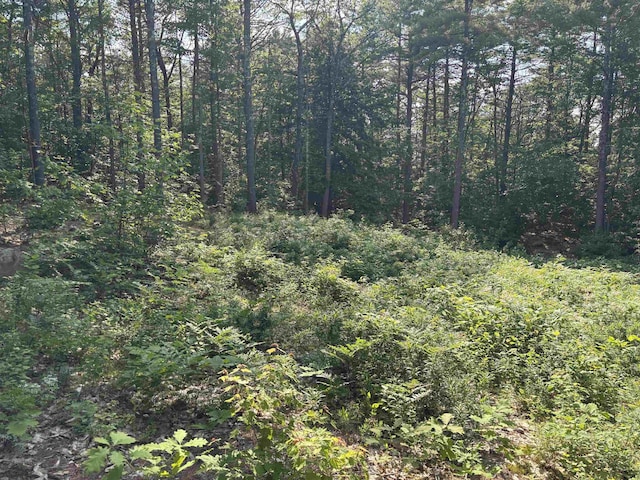 00 Davis Hill Rd, Conway, NH 03813