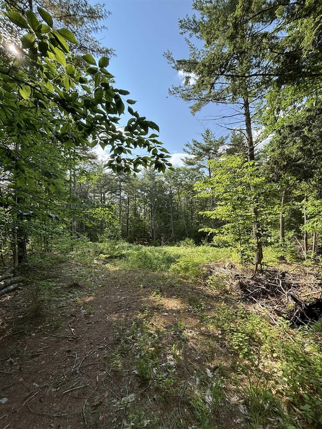 00 Davis Hill Rd, Conway, NH 03813