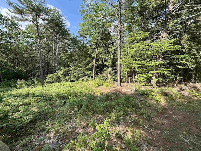 00 Davis Hill Rd, Conway, NH 03813
