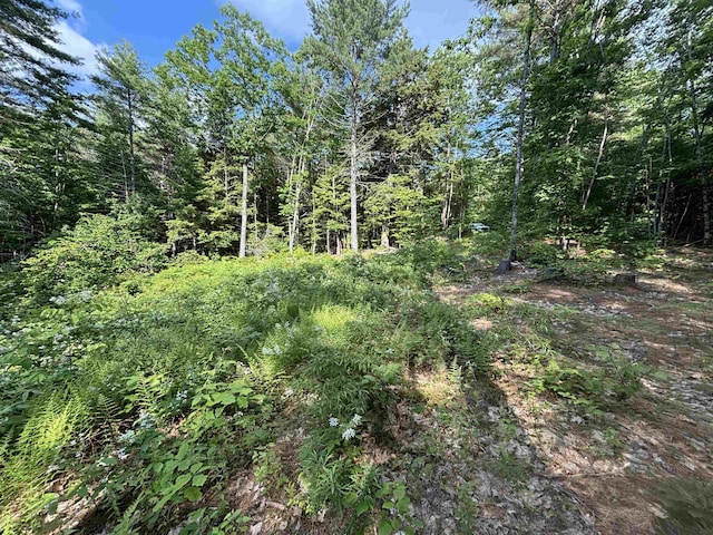 00 Davis Hill Rd, Conway, NH 03813