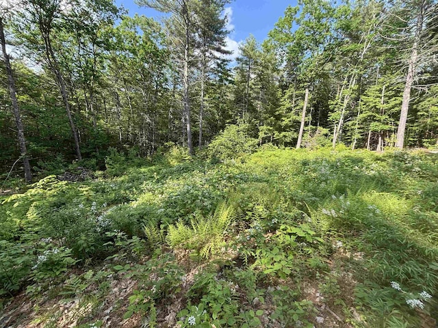 00 Davis Hill Rd, Conway, NH 03813