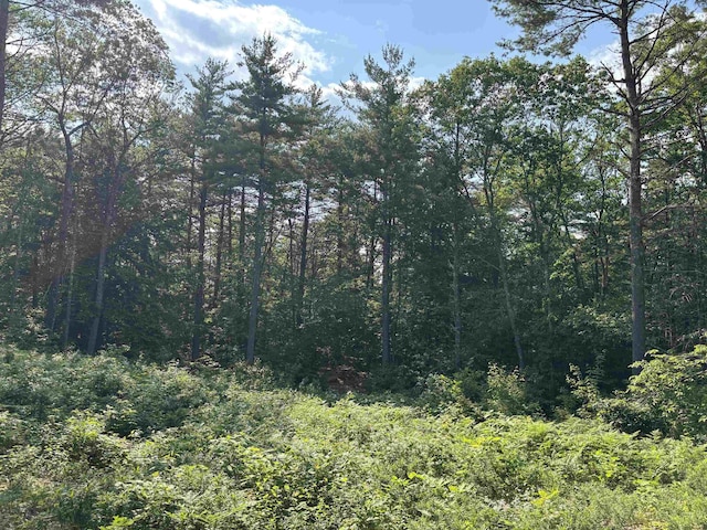 00 Davis Hill Rd, Conway, NH 03813