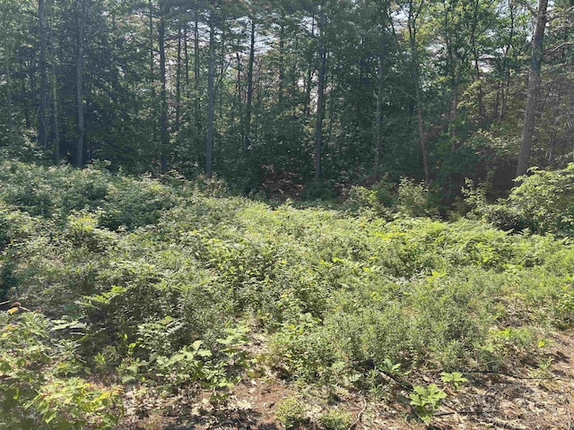 00 Davis Hill Rd, Conway, NH 03813
