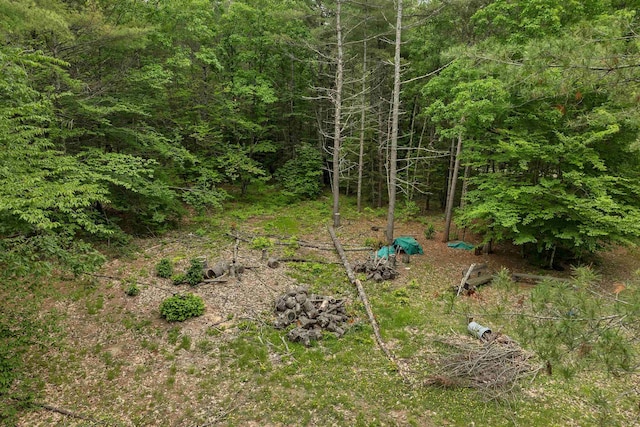 111 Green Mountain Rd, Effingham, NH 03882