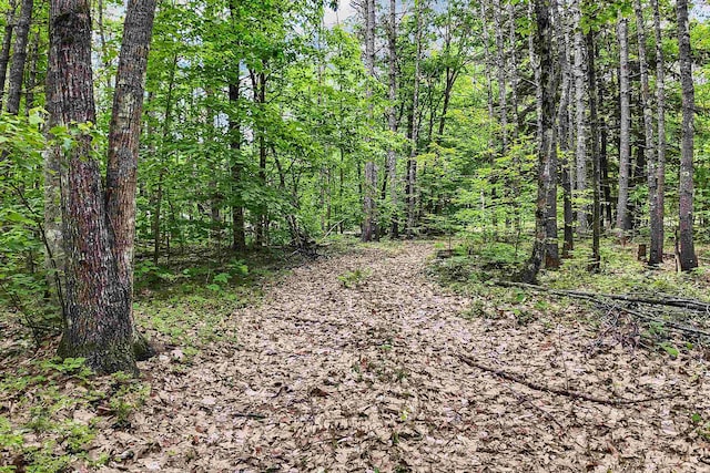 111 Green Mountain Rd, Effingham, NH 03882