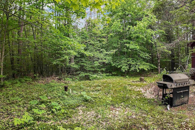 111 Green Mountain Rd, Effingham, NH 03882