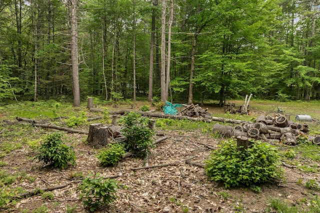 111 Green Mountain Rd, Effingham, NH 03882