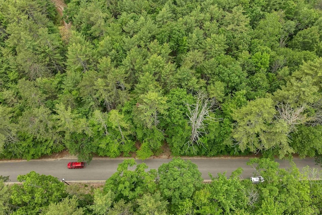 111 Green Mountain Rd, Effingham, NH 03882