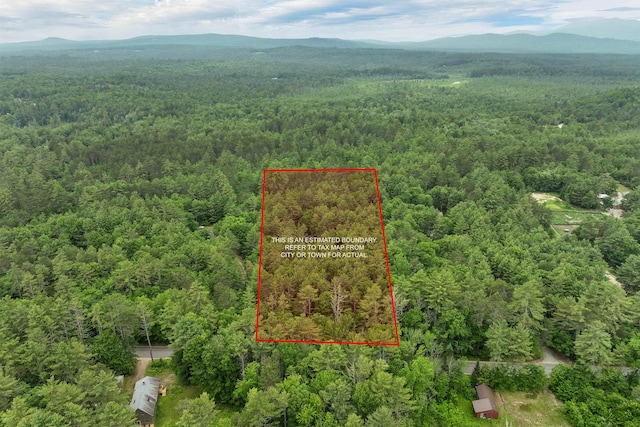 111 Green Mountain Rd, Effingham, NH 03882