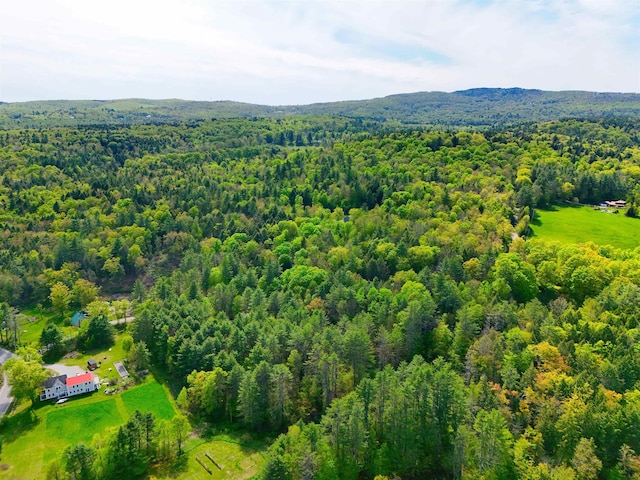 14 Brickyard Rd, Dover, VT 05341