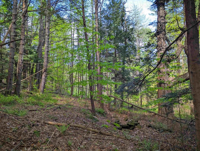 14 Brickyard Rd, Dover, VT 05341
