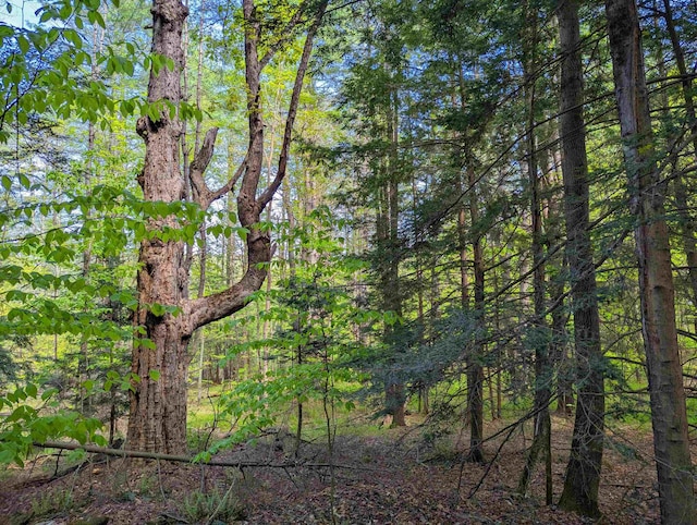 14 Brickyard Rd, Dover, VT 05341
