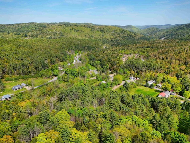 14 Brickyard Rd, Dover, VT 05341