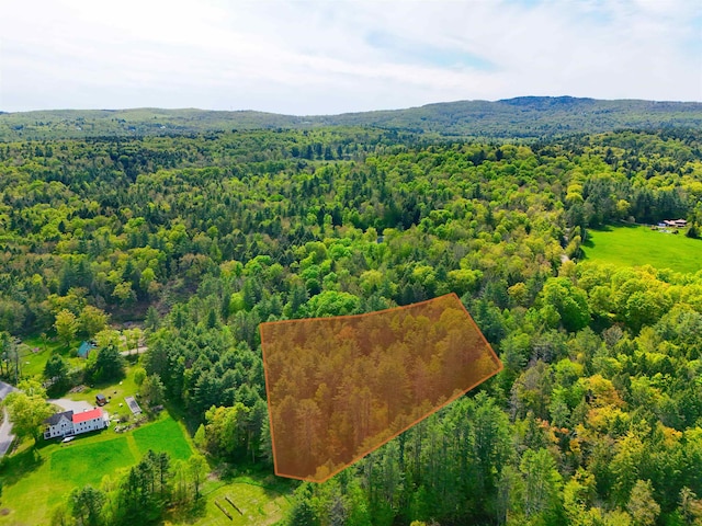 14 Brickyard Rd, Dover, VT 05341