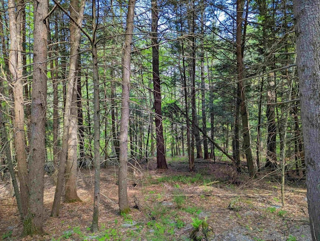 14 Brickyard Rd, Dover, VT 05341