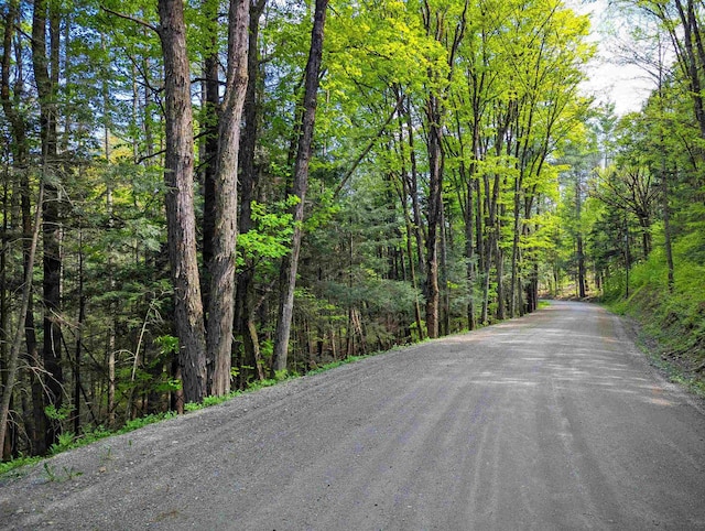 14 Brickyard Rd, Dover, VT 05341