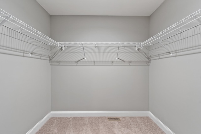 7A Terraceview Dr, Hudson, NH 03051 - spacious closet with carpet flooring