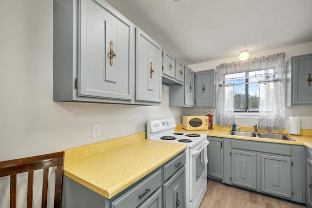 42 Wylie Ct Unit 6, Conway, NH 03860 - kitchen featuring white appliances, gray cabinets, light countertops, a textured ceiling, and light wood finished floors