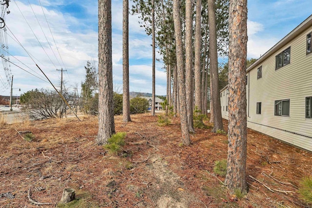 42 Wylie Ct Unit 6, Conway, NH 03860 - view of yard