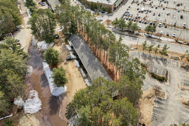 42 Wylie Ct Unit 6, Conway, NH 03860 - aerial view of property and surrounding area