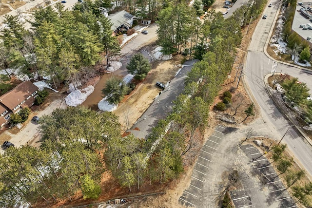 42 Wylie Ct Unit 6, Conway, NH 03860 - aerial view of property's location