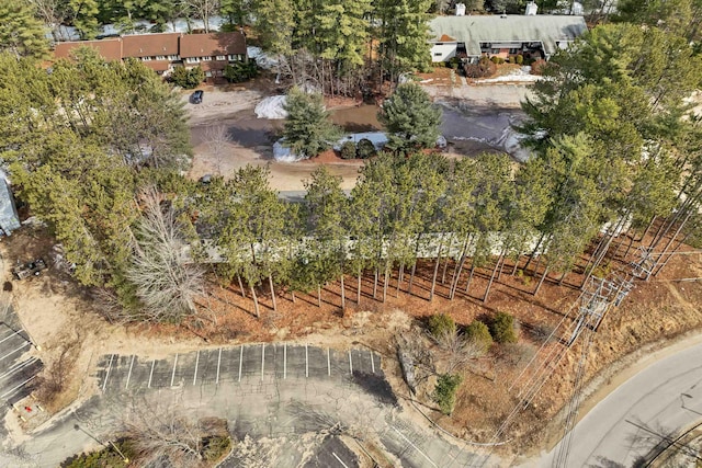 42 Wylie Ct Unit 6, Conway, NH 03860 - aerial view