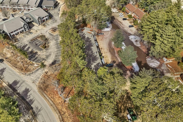 42 Wylie Ct Unit 6, Conway, NH 03860 - drone / aerial view