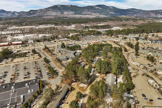 42 Wylie Ct Unit 6, Conway, NH 03860 - view of property location with mountains