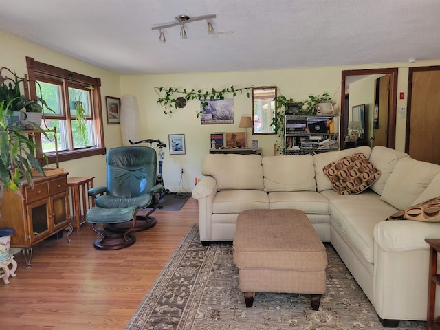 49 Tabor Cir, Albany, NH 03818 - living area featuring wood finished floors
