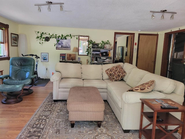 49 Tabor Cir, Albany, NH 03818 - living room with wood finished floors